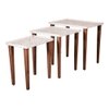 Chaandi Solid Wood Nested End Table in Paper Finish - Set of 3