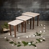 Chaandi Solid Wood Nested End Table in Paper Finish - Set of 3