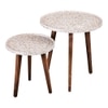 Chaandi Solid Wood Nested End Table in Paper Finish - Set of 2