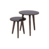 Elena Nested Table - Set of 2
