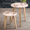 Paula Nested Table - Set of 2
