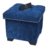 Eccentric Stool Cum End Table with Storage