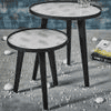 Tree Blossom Nested Table - Set of 2
