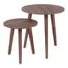 Alejandra Nested Table - Set of 2