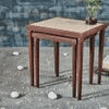Hugo Nested Table - Set of 2