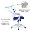 Mearveal Mid Back Ergonomic Chair in Blue Colour