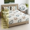 Yellow Floral 270 TC Glaze Cotton Fitted Queen Size Bedsheet With 2 Pilllow Covers