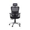 Align Pro Ergonomic High Back Office Chair in Black Colour