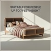 Valerio Duo-Panel Luxe Queen Size Bed in Tuape colour Velvet with Oak wood Frame