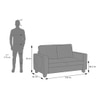 Apollo Neo 2 Seater Fabric Sofa in Daschund Brown Colour (Back Height : High, Cushion Type : Soft)