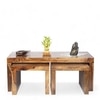 Kassel Sheesham Wood 2 Seater Coffee Table Set In Teak Finish