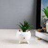 White 1 Pieces Succulent Artificial Plant With Pot