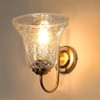 Devansh Steel Electric Wall Light in Steel Colour with Transparent Shade Count of 1 Light