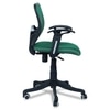 Odrione Low Back Ergonomic Chair in Dark Green Colour