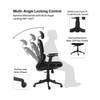Merry Premium Ergonomic Office Chair High Back in Black Colour