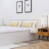Hexa Engineered Wood Modern King Bed With Headboard With Storage In Frosty White