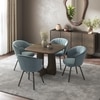 Aero Solid Wood 4 Seater Dining Table With 4 Calix Dining Chairs (Finish : Danish Walnut, Chair Colour : Powder Blue)
