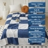 Javi White & Blue Checkered Cotton Double Bed Dohar Reversible 2 Layer Size 240 X 220 Cms