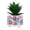 Attractive Aloe Vera Plant With Flowers Print Ceramic Pot