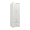 Ren 2 Door Engineered Wood Wardrobe in Silver Oak Finish