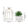 Faux Plant In Ceramic Pot With Attractive Bird Cage