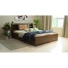 Timber Engineered Wood Queen  Size Bed With Box Storage (Walnut Finish)
