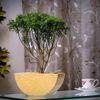 Claire Yellow Marble Planter