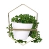 Hexa Frame Botanical Planter