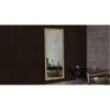 Decorative Mirror and Bathroom Mirror EL6020DMRREM0135