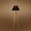 Devansh Tripod Floor Lamp