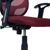 Goolda Low Back Ergonomic Chair in Maroon Colour