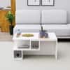 Hexa Engineered Wood Coffee Table With Storage In Frosty White