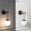 Timber Shine Brass Metal Finish Wall Light