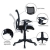 Eexcaeal Mid Back Ergonomic Chair in Black Colour
