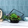 Artificial Succulent Indoor Plant With A Metal Stand