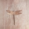 Drangonfly Wall Décor
