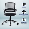 Elva Mid Back Mesh Office Chair in Black Colour