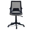 Ddeasirea Mid Back Ergonomic Chair in Grey Colour
