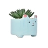 Petite Greens With Cute Cartoon Planter