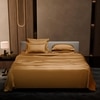 Stoa Paris Super King Size Bedsheet with 4 Pillow Covers  Size Eternal Glow