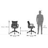 Dorsey Study Chair in Black Colour