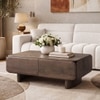 Olen Solid Wood Rectangular Storage Coffee Table In Danish Walnut Finish