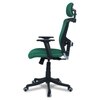 Dreaceo High Back Ergonomic Chair in Dark Green Colour