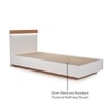Juda Engineered Wood Single Size Non Storage Bed in Frosty White and Urban Teak Brown