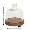 Ireka Homes Sugary Affair Acacia Wood Cake Stand with Glass Dome