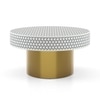Aina Inlay Coffee Table In Matt Gold Finish