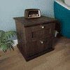 Taro Engineered Wood Bedside Table In Walnut Finish