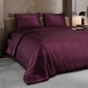 Stoa Paris Satin Comforter King Size with 2 Pillow Covers, 300TC Comforter Set Covers, Burgundy Bliss
