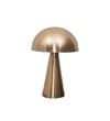 Fungo Single Light Table Lamp In Brass Finish