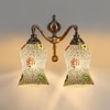 Devansh Metal Electric Wall Light in Multi Colour with Multi Shade Count of 2 Lights